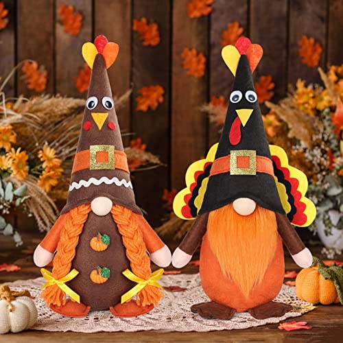 HexyHair Thanksgiving Table Decorations Gnomes Turkey Plush, 2 PCS Fall Decor Centerpieces for Tables Autumn Harvest Party Home Decor Funny Thanksgiving Gifts Tiered Tray Ornaments