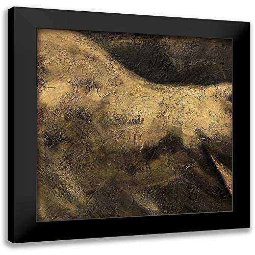 ArtDirect – Panasenko, Inna 15×15 Black Modern Framed Art Print Titled: Toros VI