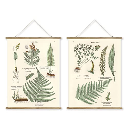 2 Pack Vintage Fern Poster Hanger Frame, Retro Style Wall Decor Art Painting, Patterns are Printed on Linen Without Fading, Living Room Office Classroom Bedroom Playroom Apartment Decor. (22.4 x 15.7 in)