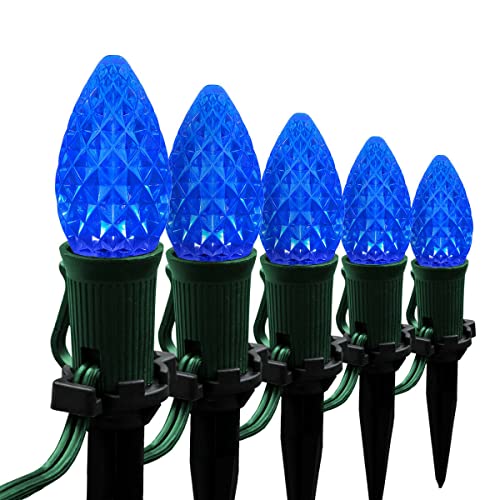 Blue-100 liglht 100ft Pathway Lights OptiCore C7 Outdoor Garden Yard Walkway Home Holiday Light Sets
