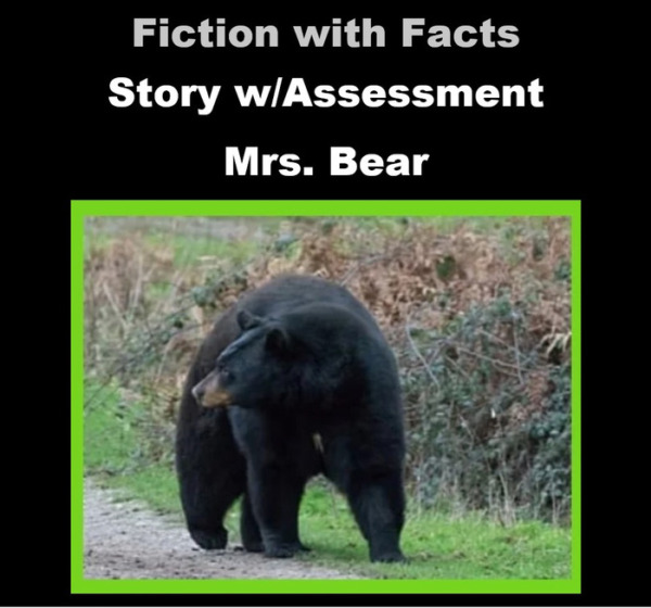 Fiction with Facts Story w/Assessment for Mrs. Bear and the Bees
