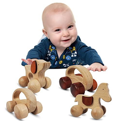 TEKOR Wooden Push Toy with Wheels for Baby, Toddler Grasping & Wood Teething – Montessori Wood Animal Car Set. Motor Development Sensory Skills, Handcrafted, Smooth, No Rough Edges (Pack of 4)