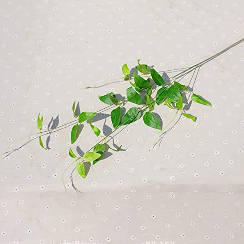 curfair Artificial Plant Fake Flower Exquisite 1Pc/4 Branches Artificial Green Leaves Fake Plant Home Wedding Garden Decor for Home-Green | The Storepaperoomates Retail Market - Fast Affordable Shopping