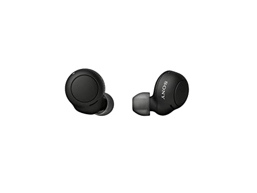 Sony WF-C500 Truly Wireless In-Ear Bluetooth Earbud Headphones with Mic – Black (Renewed)