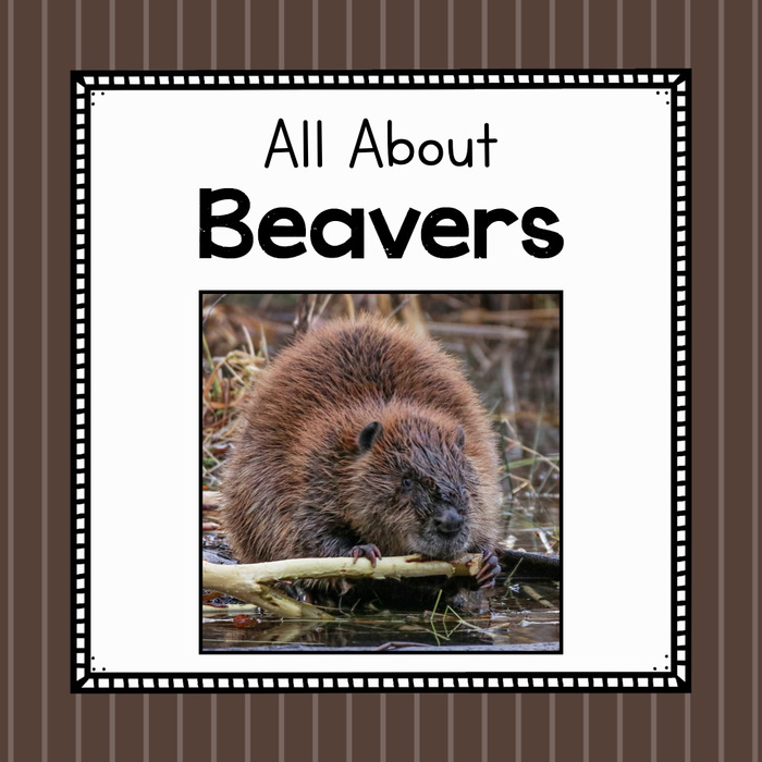 All About Beavers- Elementary Animal Science Unit | The Storepaperoomates Retail Market - Fast Affordable Shopping