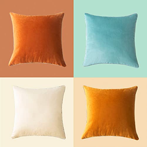 DUKYMIK Decorative Throw Pillow Covers Cushion Cases – 18 x 18 Inch Modern Velvet Double-Sided Designs Square Pillow Shems for Couch, Sofa, Car and Home Decor, Set of 2( Orange Brown & Teal )
