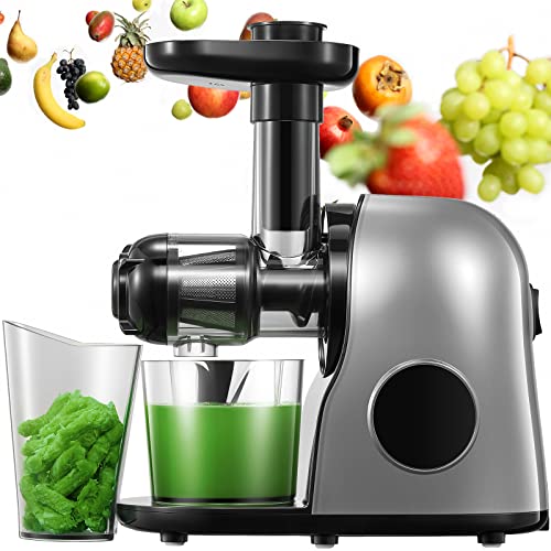 Juicer Machines Easy to Clean, Slow Masticating Juicer Extractor with Quiet Motor & Reverse Function, BPA-Free, Cold Press Juicer with Brush, Juice Recipes for Vegetables and Fruits (Galaxy Grey)