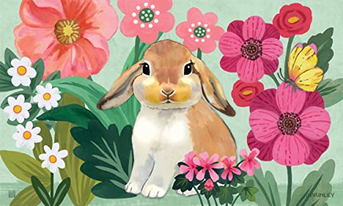 MatMates Studio M Bunny Love Decorative Floor Mat Indoor or Outdoor Doormat with Eco-Friendly Recycled Rubber Backing, 18 x 30 Inches