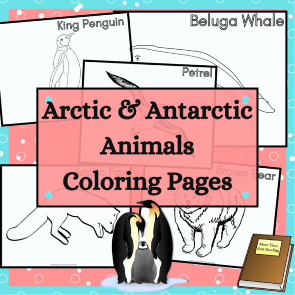 Arctic & Antarctic Animals Coloring Pages