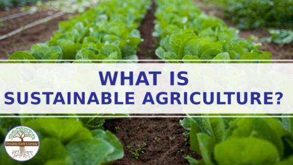 Sustainable Agriculture Worksheet: Why is sustainable agriculture so important?