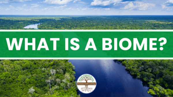 What is a Biome? – Science Worksheet