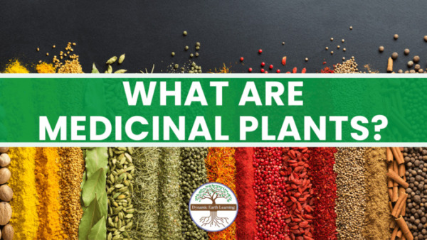 What are Medicinal Plants? – 9th- 12th Grade Science