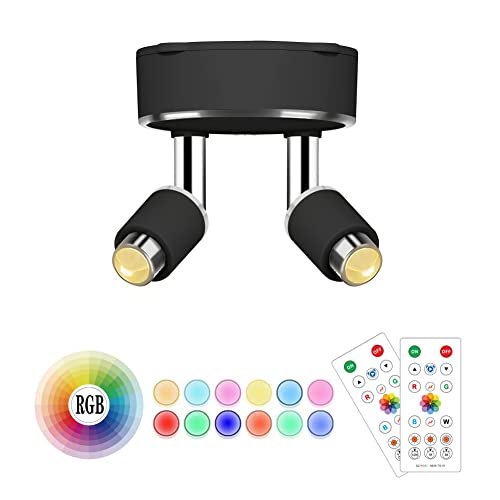 Wireless LED Spotlight,Double Head Display Light,Battery Operated Accent Lights,Art Lights,Led Picture Light,Puck Lights with Remote,16RGB Closet Lights ,Artwork Lighting for Painting Picture,Black