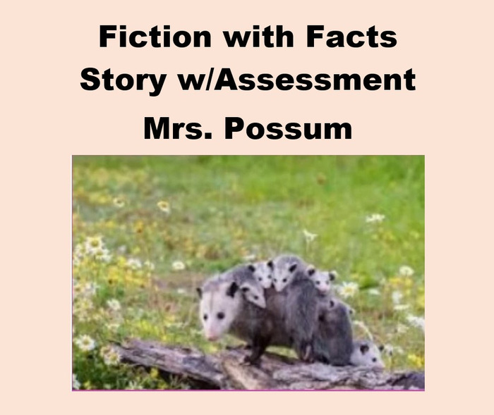 Fiction with Facts Story w/Assessment for Mrs. Possum | The Storepaperoomates Retail Market - Fast Affordable Shopping