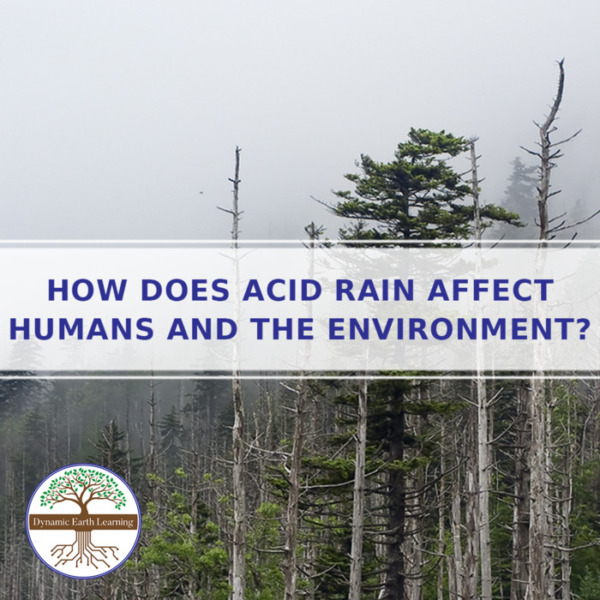 Acid Rain: Humans and the Environment – Environmental Science Worksheet