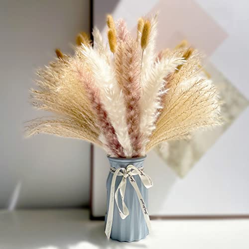 TEQUAN Dried Pampas Grass Decor – 48Pcs Dry Pampas Grass Reed Grass Bunny Tails Grass Dried Flowers Bouquet for Boho Decor Wedding Home Decoration