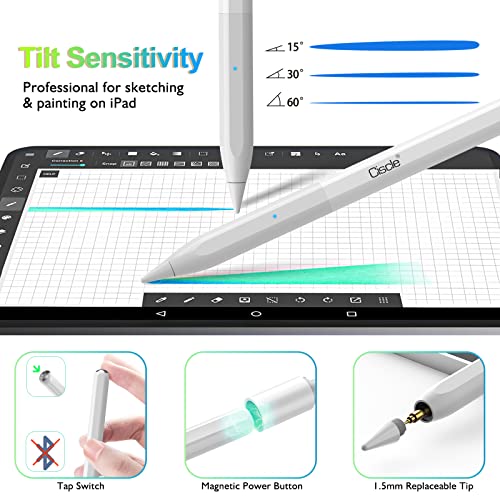 Ciscle Stylus Pencil Compatible for Apple iPad, Pen for iPad with Palm Rejection, Tilt, Magnetic Function High Precision for iPad 6/7/8/9th/iPad Pro 11”& 12.9”/iPad Mini 5th 6th/iPad Air 3rd 4th 5th | The Storepaperoomates Retail Market - Fast Affordable Shopping
