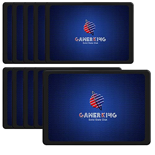 GAMERKING SSD 2.5 SATA III 64GB High Performance Internal Solid State Drive for Desktop Laptop 10 Unit Package Pack [64GB(10 Packs),2.5-SATA3]