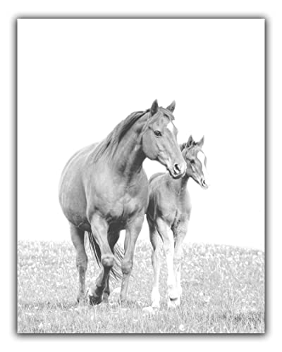 Modern Farmhouse No.33 Wall Art Photo Print – 8×10 UNFRAMED Rustic Boho Cottage Country Decor. Black and White Picture of Horse and Baby Foal in Farm Field.