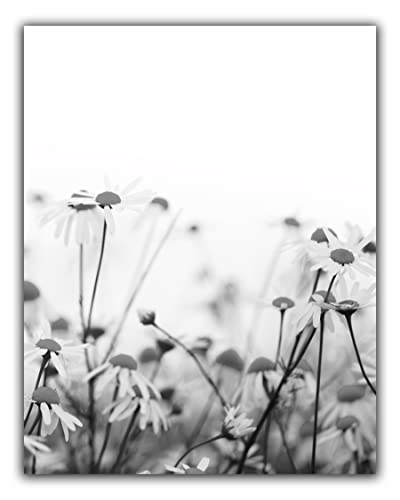 Modern Farmhouse No.39 Wall Art Photo Print – 8×10 UNFRAMED Rustic Boho Cottage Country Decor. Picture of Black and White Wildflower Daisies in Farm Field.