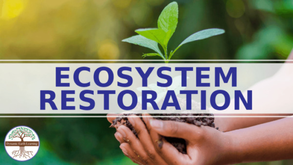 What is Ecosystem Restoration? Science Worksheet