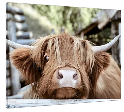 LB Highland Cow Canvas Wall Art Funny Farm Brown Bull Canvas Prints Rustic Animal Cattle Artwork Country Modern Painting Picture Poster for Bathroom Bedroom Living Room Wall Decor,16×12 Inch