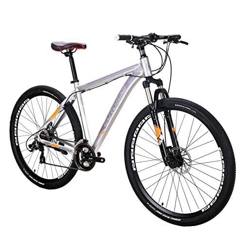 EUROBIKE 29 Inch Mountain Bike, Aluminum Frame, 21 Speed Mens Mountain Bike, Front Suspension and Dual Disc Brakes for Men’s MTB Bicycle (Spoke-Silvery)