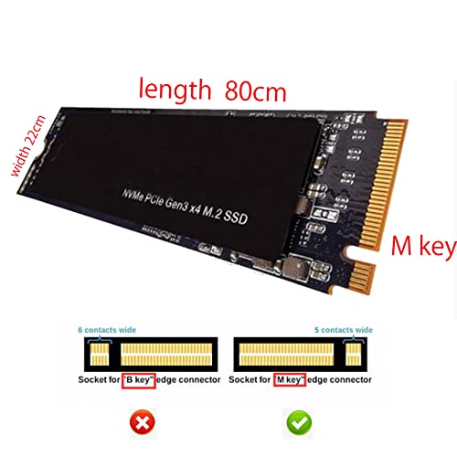 New 2X M.2 SAS Flex Bay Modules w/ Tray & 1x U.2 NVME Expansion Interface Backplane Kit Compatible with Dell Precision 7920 T7920 Without SSD only for M Key 2280 M.2 NVMe (PCIe Gen3 x4) SSD | The Storepaperoomates Retail Market - Fast Affordable Shopping