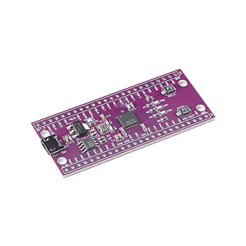 Rakstore W806 Microcontroller 240MHZ 5-8Bit STM32 Development Board IoT MCU Chip CDK Development Environment Low Power IOT