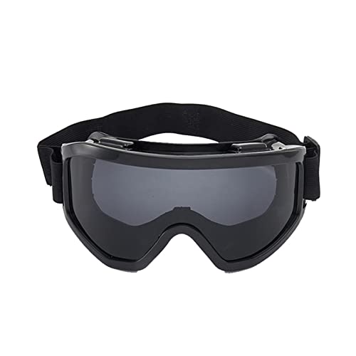 DIJIAMU Ski Goggles Ski Snowboard Goggles Mountain Skiing Eyewear Snowmobile Winter Sport Goggle Snow Glasses Snowboard Goggles (Color : BB)