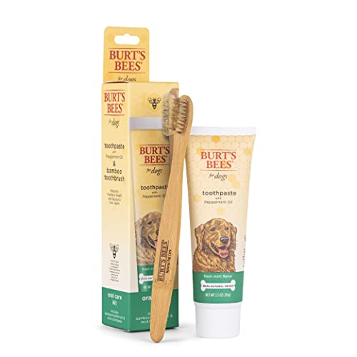 Burt’s Bees for Dogs Natural Oral Care Kit | Dog Dental Kit with Toothpaste & Bamboo Toothbrush | Dog Toothbrush and Toothpaste with Honeysuckle & Peppermint Oil, Fresh Mint Flavor (2.5 oz)