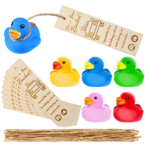 60 PCS You’ve Been shunned Cards with Rubber Ducks and Strings, Small Rubber Duckies with Duck Card Tags, Mini Rubber Duckies for Car Street Toy Party Game Decor, Assorted Colors (Wood, Cute Style)