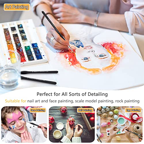 PANDAFLY Micro Detail Paint Brush Set, 15pcs Miniature Painting Brushes for Fine Detailing & Art Painting – Watercolor Oil Acrylic, Face, Nail, Craft Models, Rock Painting, Warhammer 40k | The Storepaperoomates Retail Market - Fast Affordable Shopping