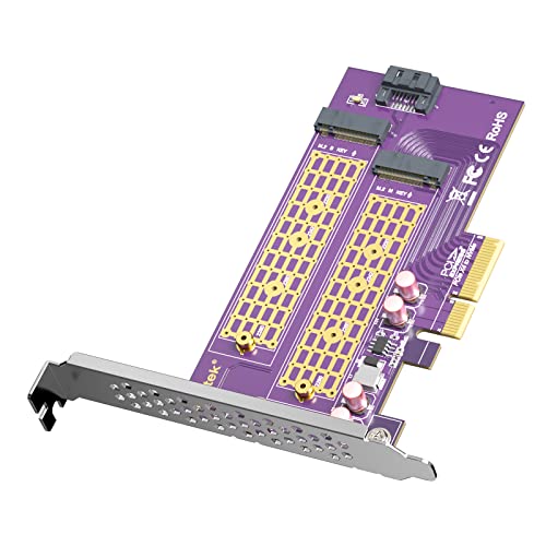 10Gtek 2-Port M.2 NVMe Adapter M-Key and B-Key, PCIe X4 Gen3.