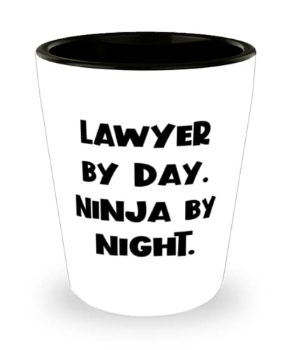 Lawyer Gifts For Coworkers, Lawyer by Day. Ninja by Night, Unique Lawyer Shot Glass, Ceramic Cup From Boss