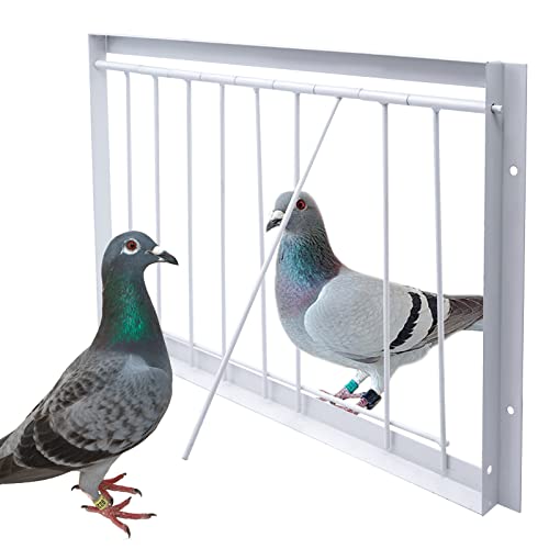 Junniu 15.7in/40cm Pigeon Cage Door One Way Entrance Door Bird T-Trap Birdcage Iron Wire Trap Door for Racing Pigeon Bird Cage Breeding Supply, 15.7in (40cm)