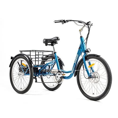 DWMEIGI Adult Electric Tricycle 3 Wheel Electric Bike with 24 Inch Wheel,Low Step-Through Frame with Removable 36V13AH Lithium Battery, Cargo Basket (Blue)