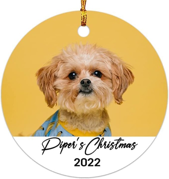 Personalized Photo Dog Cat Christmas Ornament 2022, Keepsake Gift Holiday Ornament for Your Pets, Upload Any Picture, Photo Custom Any Name Text 2022 Xmas Ornament, Dog Christmas Ornament