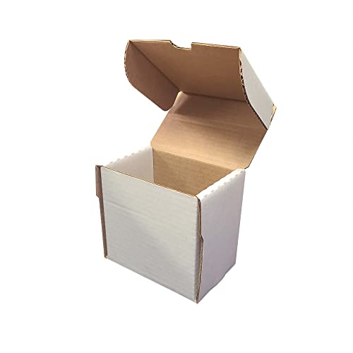BCW Semi Rigid #1 Card Holder Storage Box – 5 in