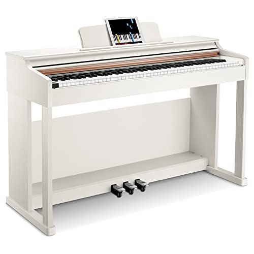 Donner DDP-100 88-Key Weighted Action Digital Piano, Beginner keyboard piano Bundle with Furniture Stand, Power Adapter, White