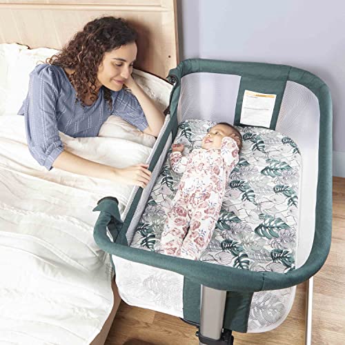 Dream On Me Daisy Bassinet and Bedside Sleeper, Lightweight and Portable Baby Bassinet, Adjustable Height Position, Easy to Fold and Carry Travel Bassinet- Carry Bag Included