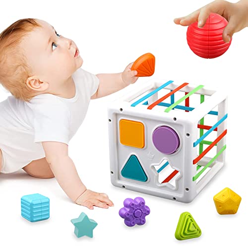 TOPZONE Baby Montessori Toys for 1 Year Old Boy Girl Gifts, Shape Sorter Sensory Bin Toys 6 to 12 18 Months, Fine Motor Skill Activity Cube Toddler Travel Baby 1st Birthday Gifts
