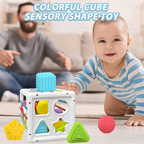 TOPZONE Baby Montessori Toys for 1 Year Old Boy Girl Gifts, Shape Sorter Sensory Bin Toys 6 to 12 18 Months, Fine Motor Skill Activity Cube Toddler Travel Baby 1st Birthday Gifts | The Storepaperoomates Retail Market - Fast Affordable Shopping