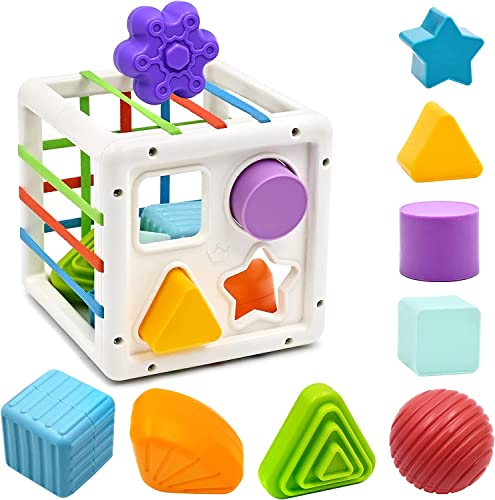 TOPZONE Baby Montessori Toys for 1 Year Old Boy Girl Gifts, Shape Sorter Sensory Bin Toys 6 to 12 18 Months, Fine Motor Skill Activity Cube Toddler Travel Baby 1st Birthday Gifts | The Storepaperoomates Retail Market - Fast Affordable Shopping