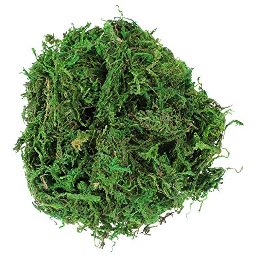 Veemoon 3 Packs of Artificial Moss Dried Moss Fake Lichen Plants for Home Fairy Garden Patio Decoration- Dark Green 60g/ Pack