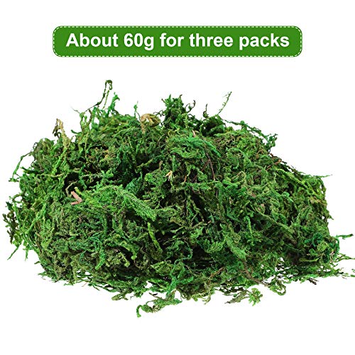 Veemoon 3 Packs of Artificial Moss Dried Moss Fake Lichen Plants for Home Fairy Garden Patio Decoration- Dark Green 60g/ Pack | The Storepaperoomates Retail Market - Fast Affordable Shopping