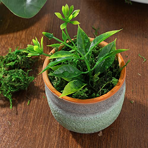 Veemoon 3 Packs of Artificial Moss Dried Moss Fake Lichen Plants for Home Fairy Garden Patio Decoration- Dark Green 60g/ Pack | The Storepaperoomates Retail Market - Fast Affordable Shopping
