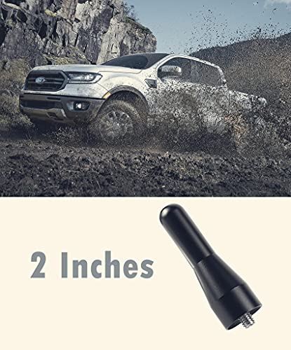 Antenna for Ford Ranger Car Antenna Replacement 2 inches Truck Antenna Fits 2019-2022 Ford Ranger Maverick | The Storepaperoomates Retail Market - Fast Affordable Shopping