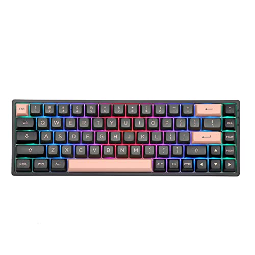 EPOMAKER AKKO 3068B Plus Black & Pink 65% Hot-Swap 2.4Ghz Wireless/Bluetooth/Wired Mechanical Gaming Keyboard with RGB Backlight, Double-Shot PBT Keycaps for Gamers/Mac/Win(AKKO CS Jelly Pink