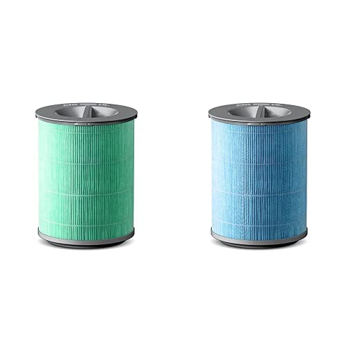 YIOU Air Purifier Replacement Filter,H13 True HEPA Filter, High-Efficiency Activated Carbon for Dust,Smoke,Mold,Pets Hair Dander,Original Filter&Pet Allergy Filter,Green&Blue,2 Pack,